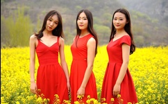 一个人视频日本在线观看